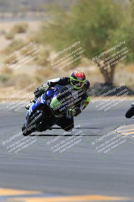 media/May-14-2023-SoCal Trackdays (Sun) [[024eb53b40]]/Turn 5 Tree of Life (1125am)/